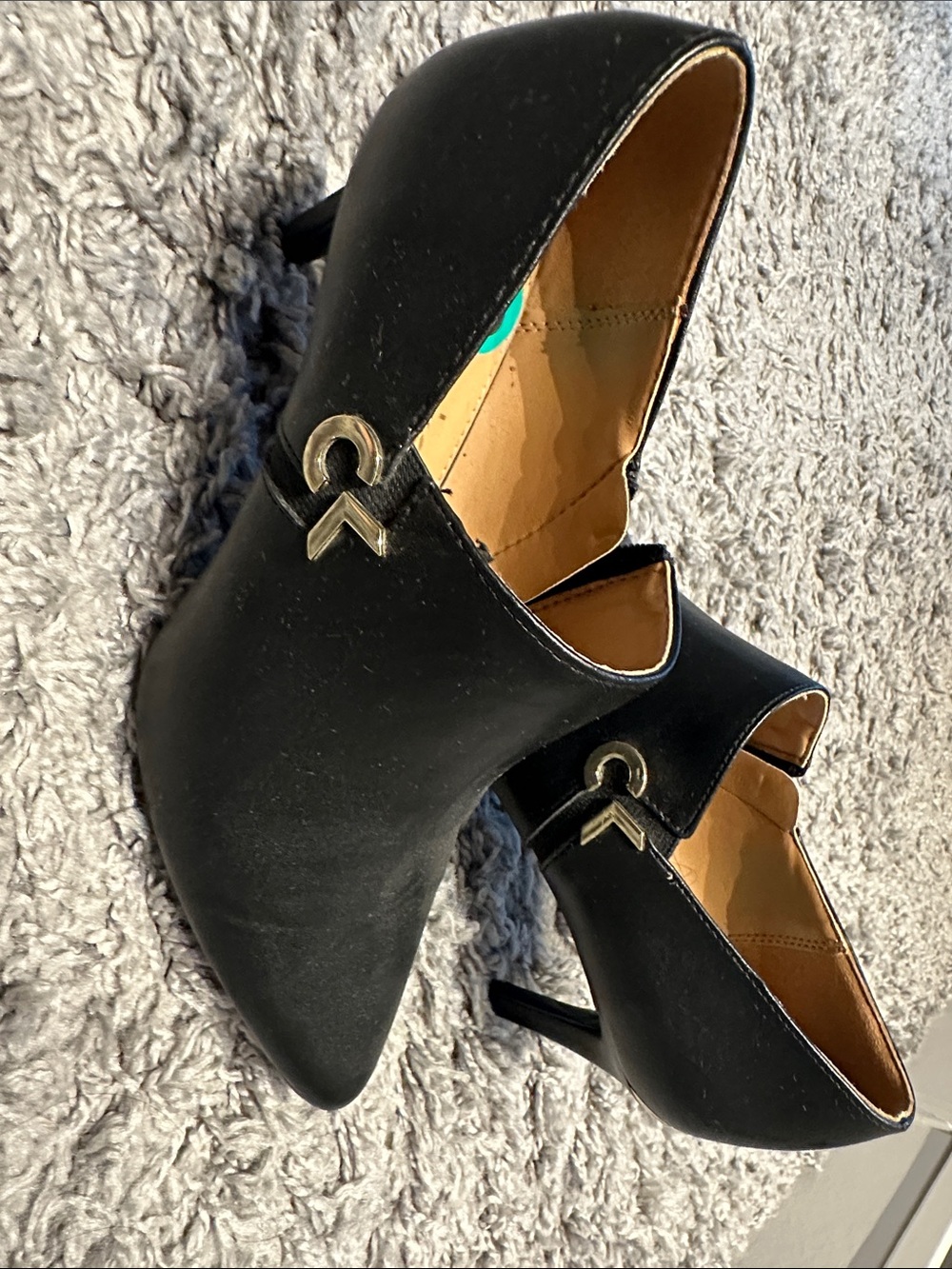Classic Black Pointed-Toe Stiletto Heels with Metallic Accent